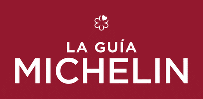 Guía Michelin